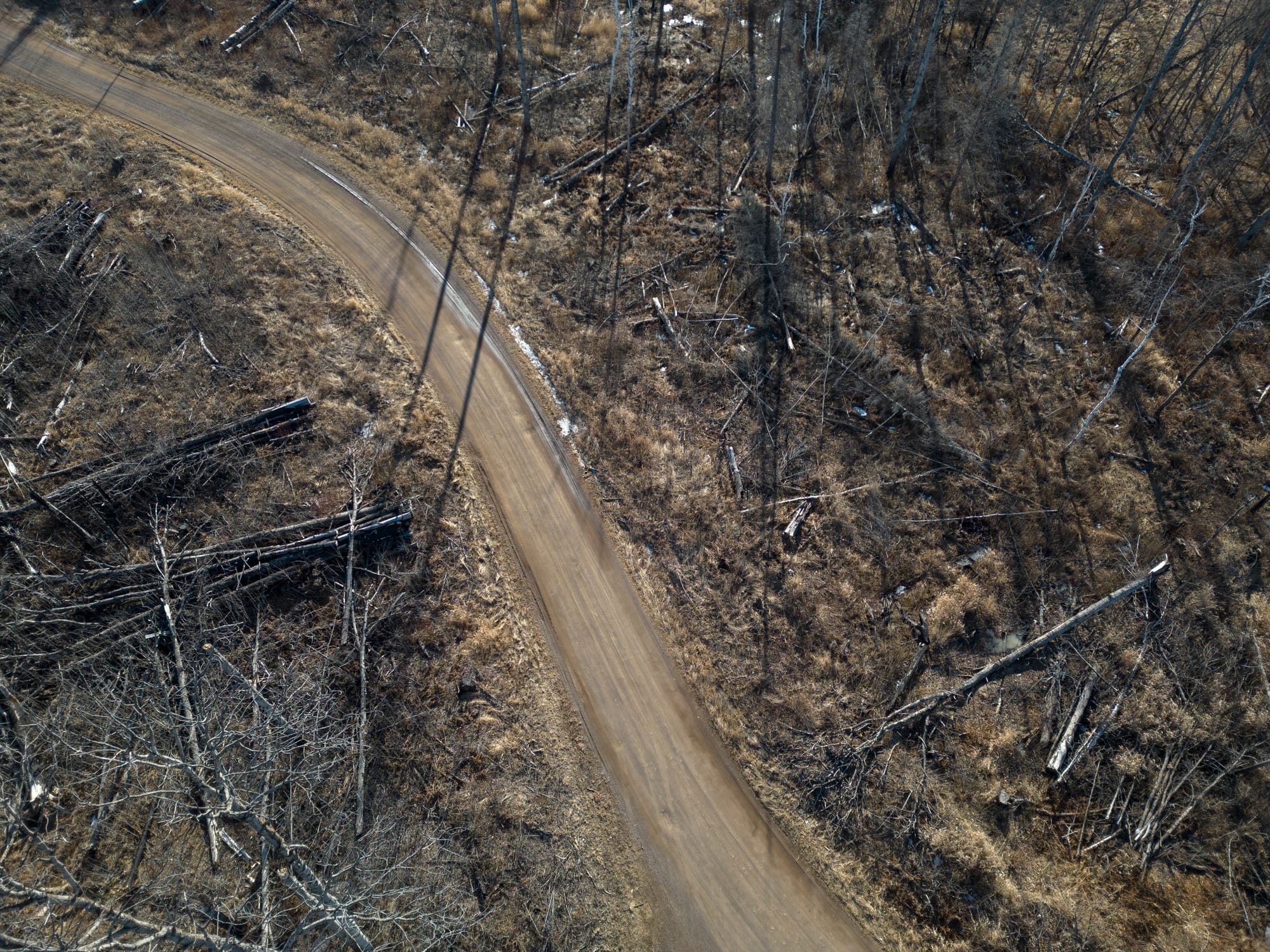 An aerial view of a burned forest.