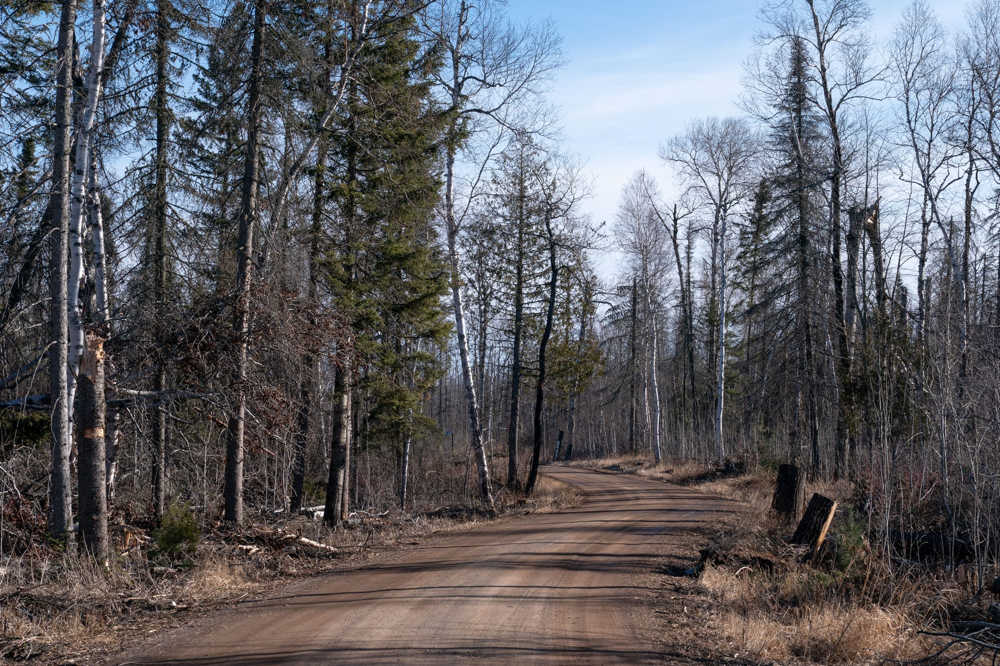 Burned areas are seen along a road in the forest.