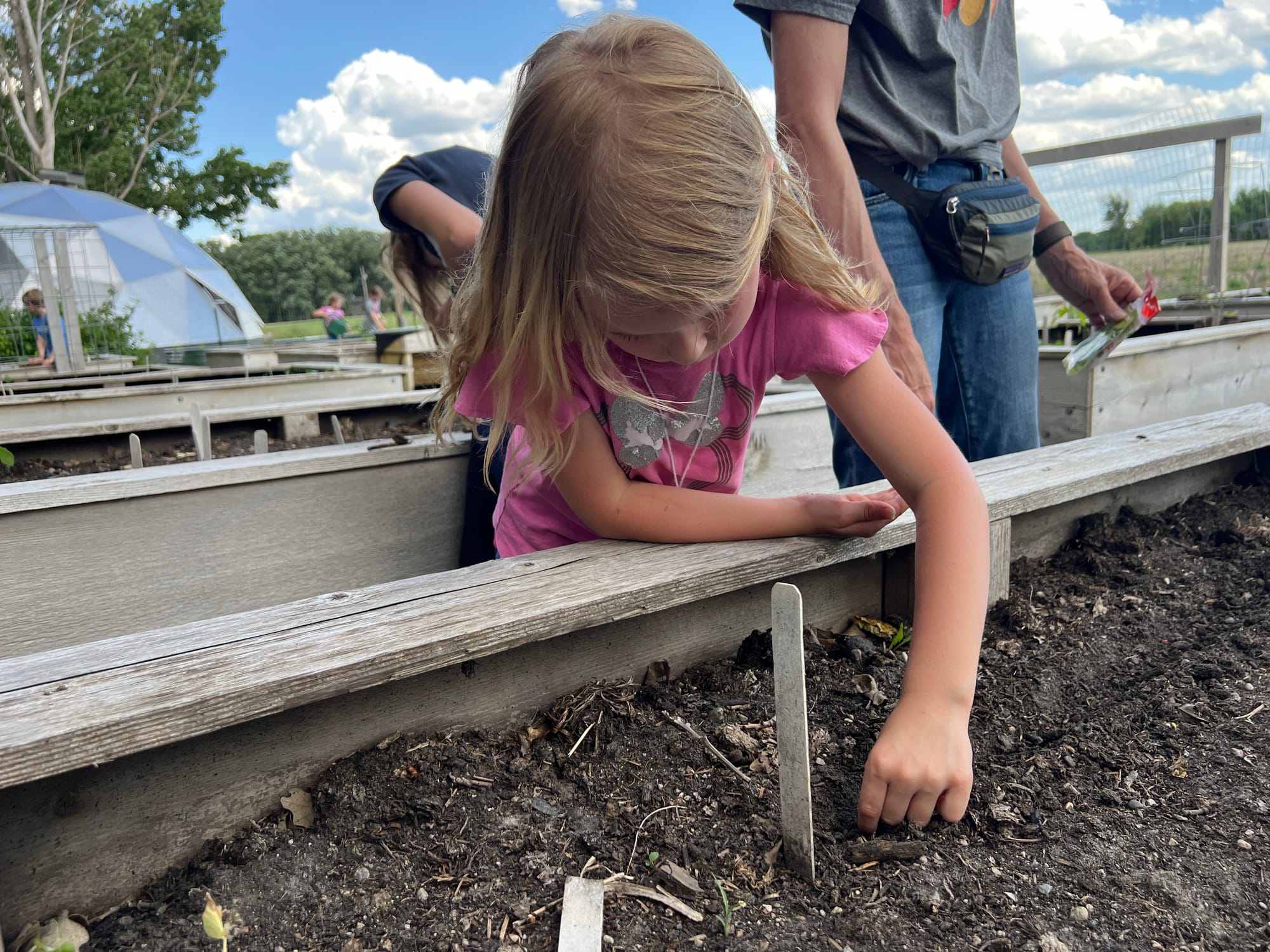 Little girls plants seeds in a raised garden bed. 