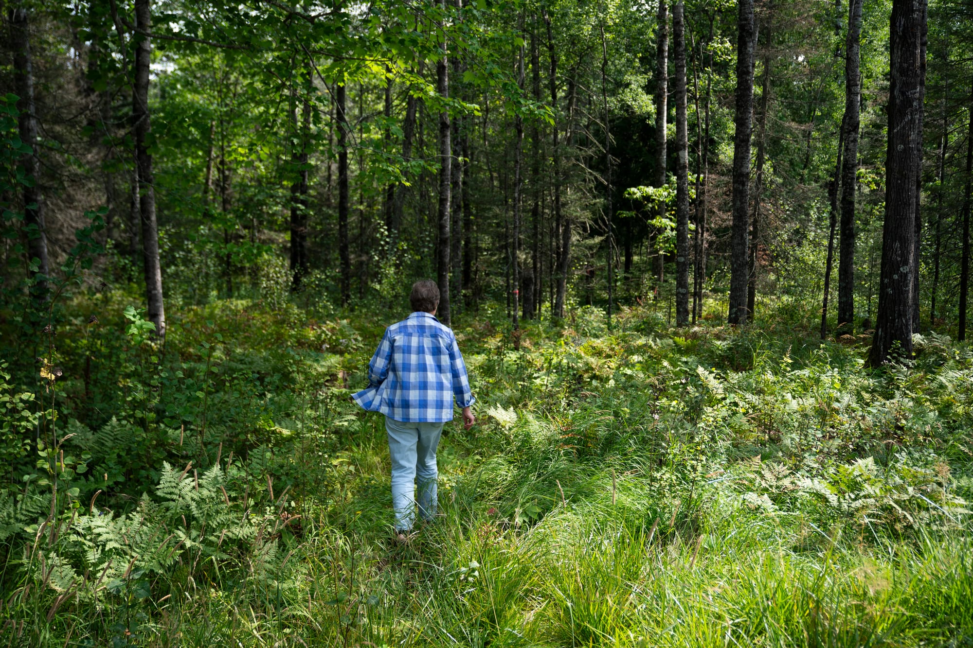 Woman walks in the woods. 