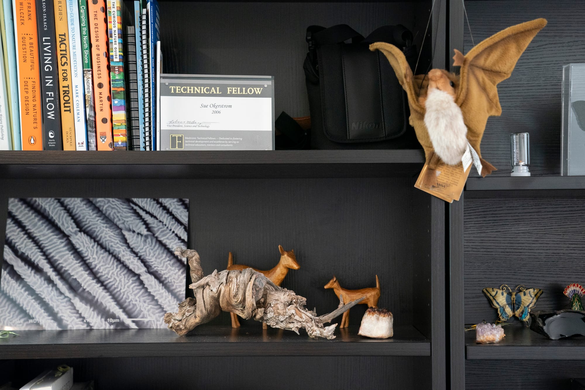 Books and animal figurines are seen on a black bookshelf. 