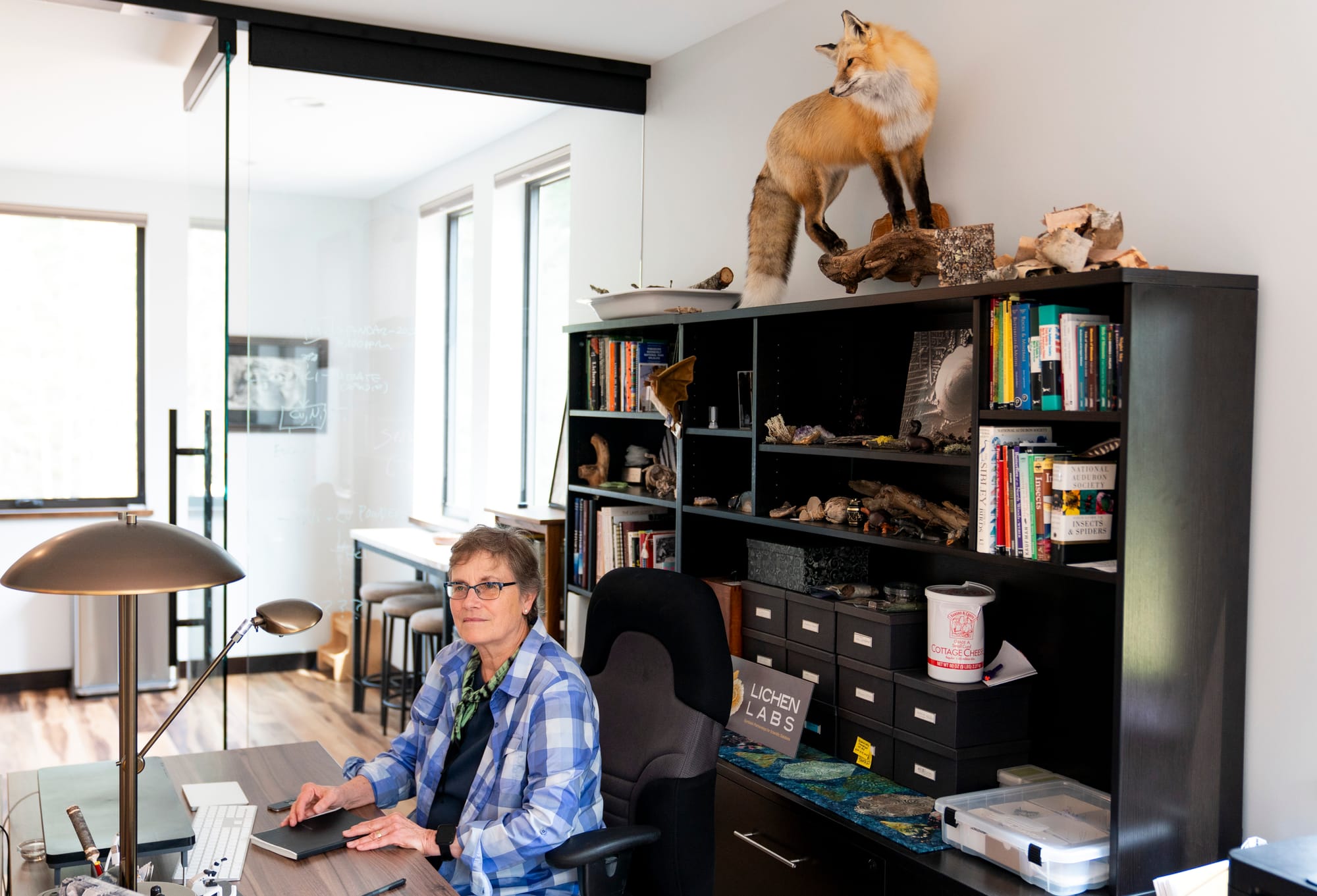 Woman sits at her desk with a bookshelf in the background. A taxidermy fox stands on top of the bookshelf.