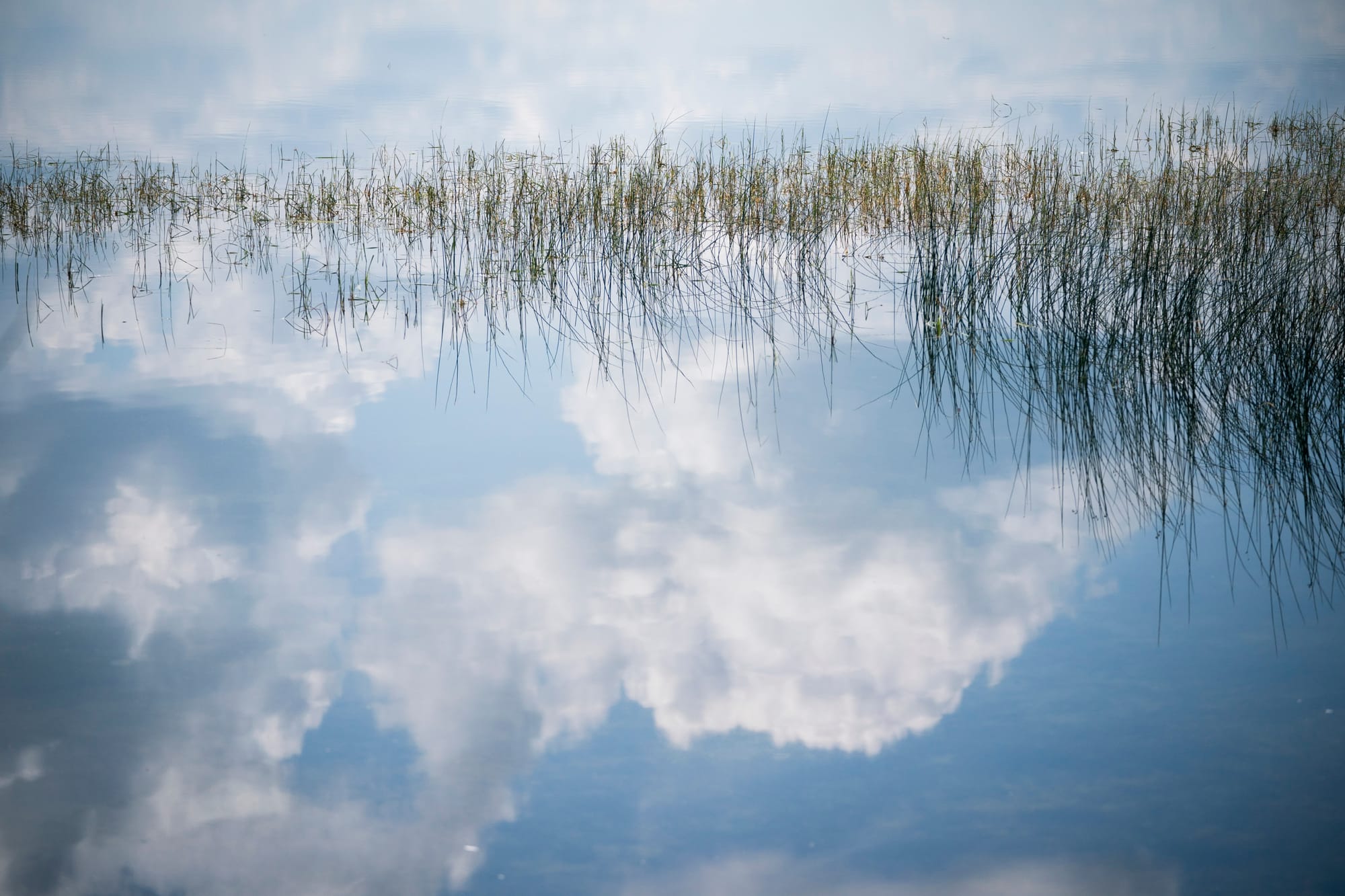 White, fluffy clouds are reflected on the surface of a lake. 