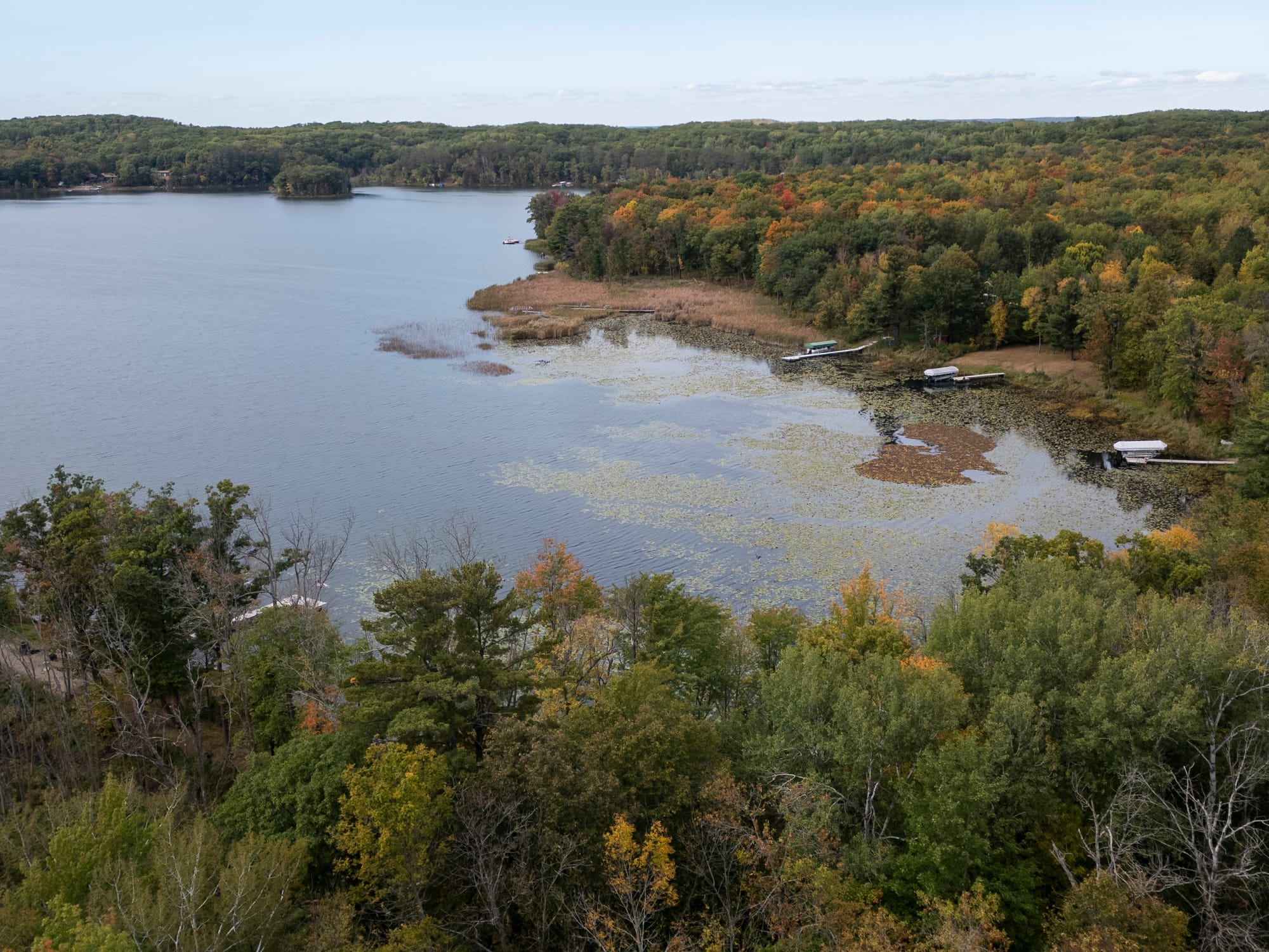 A few trees pop with color by Agate Lake. 