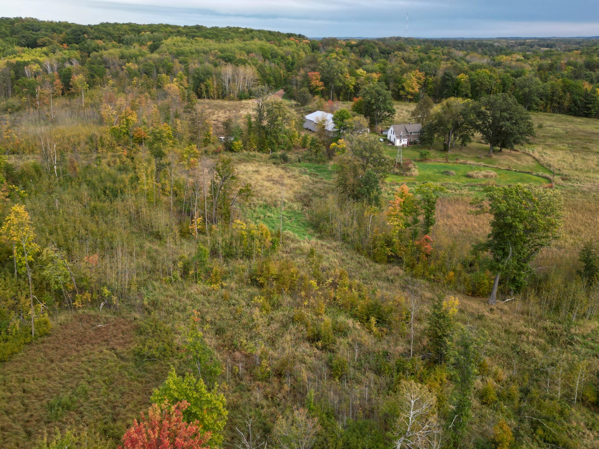 Fall colors begin to sprout on Oct. 3, 2024 near Deerwood, Minn.