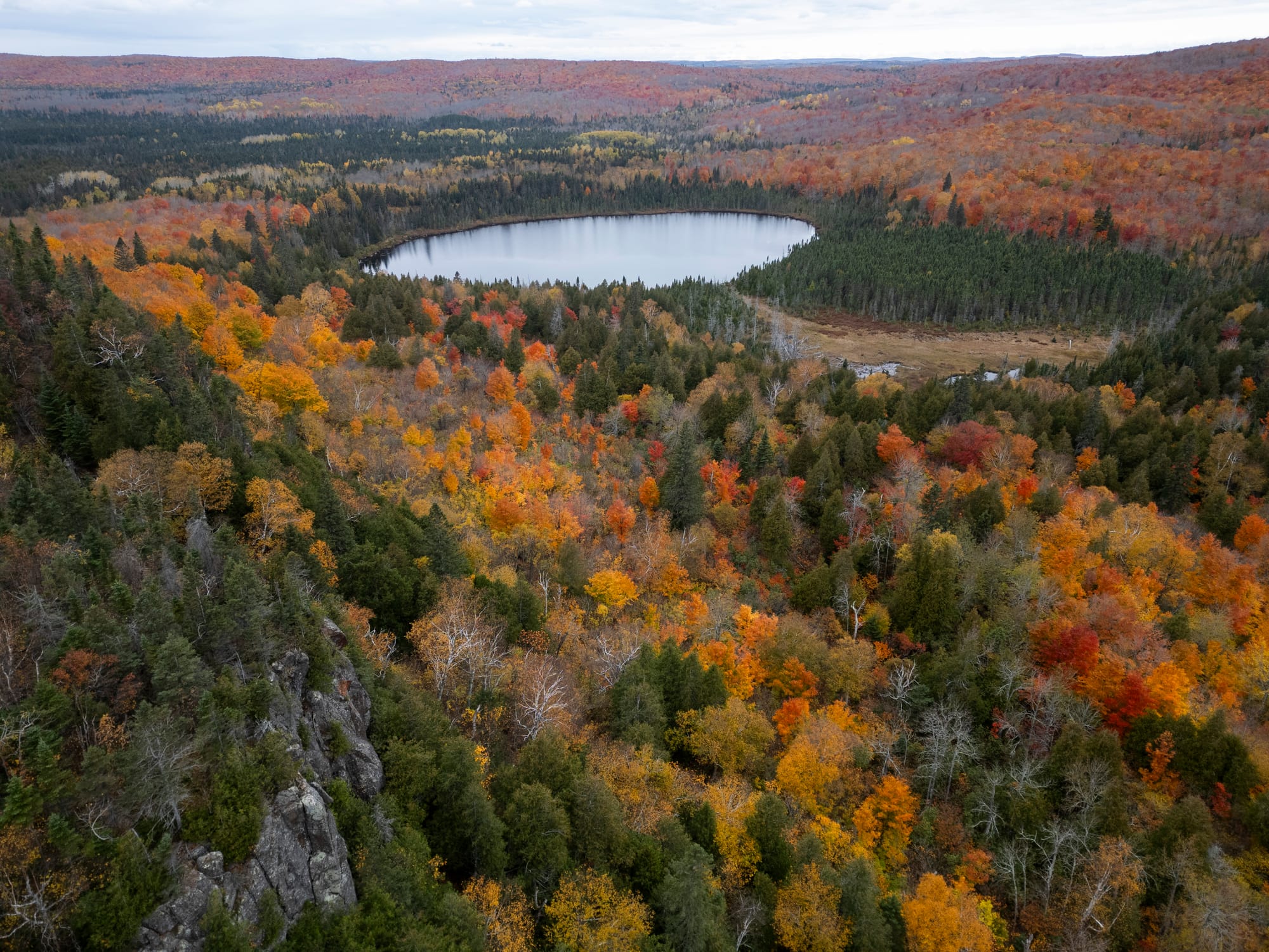 An aerial view of trees whose leaves are changing in fall. Red, orange, gold, and yellow leaves are seen.