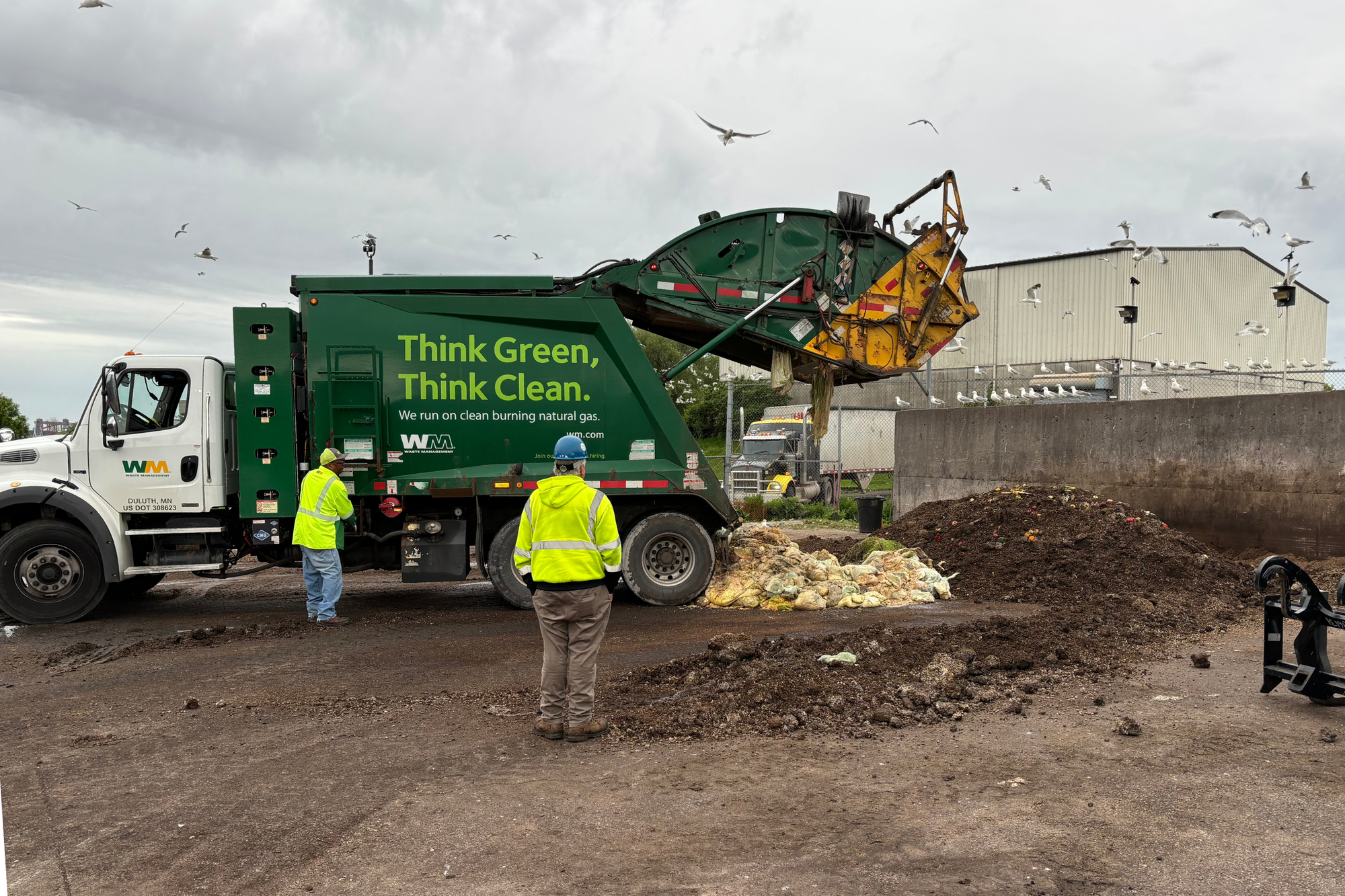 A dump truck empties its load of food waste at a compost site.