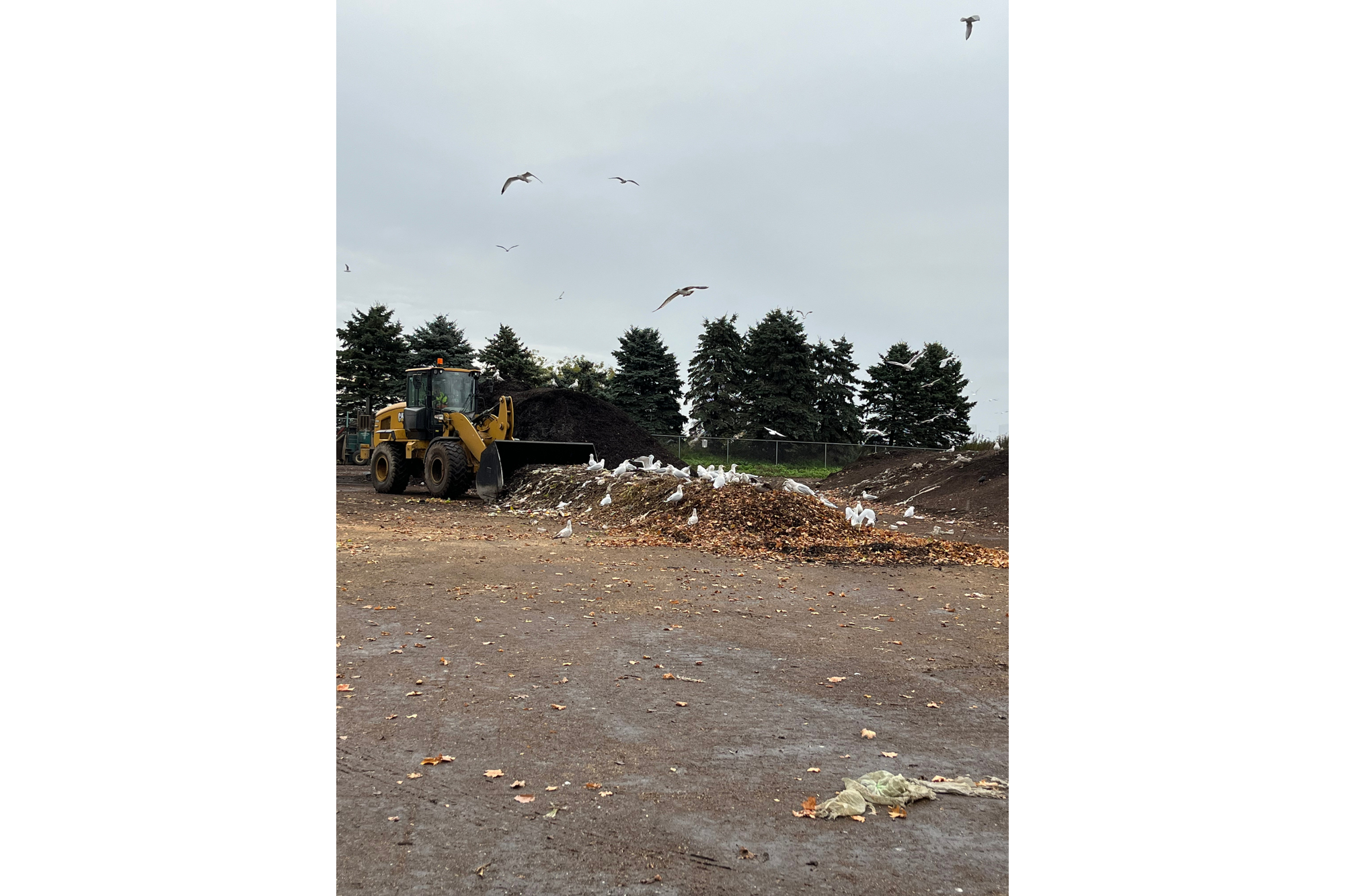 A loader mixes compost at a facility. 