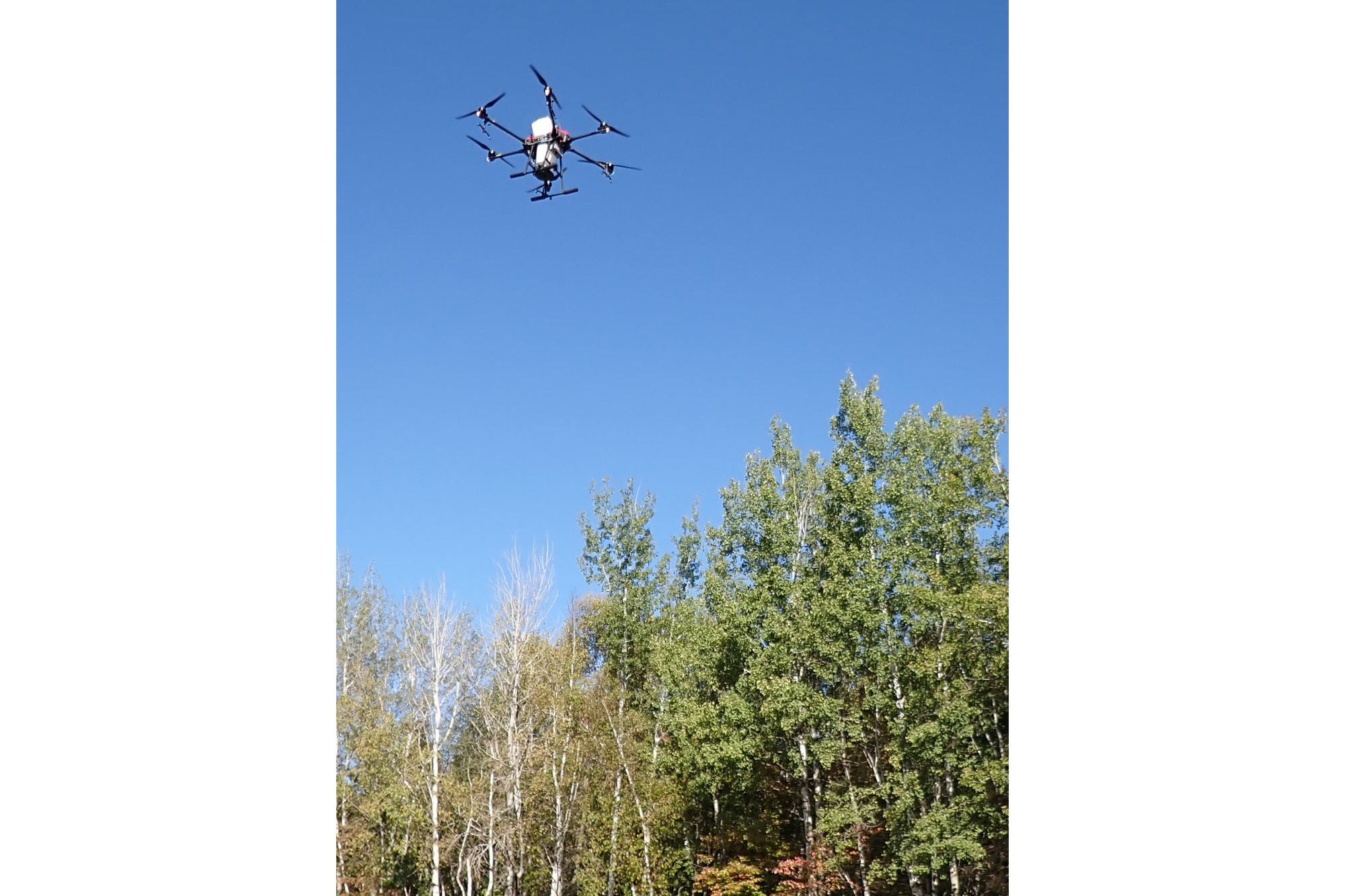 A drone that can plant crop seeds hovers above a field. 