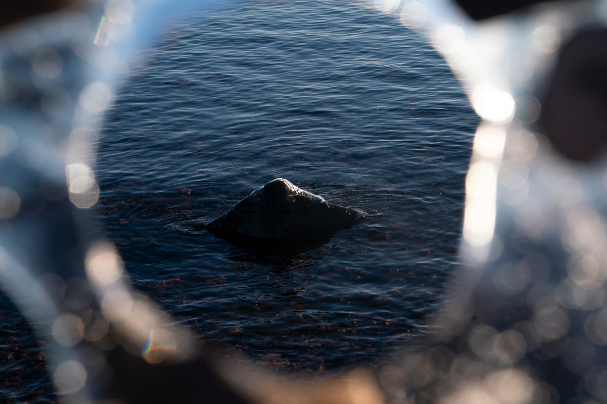 A large rock in Lake Superior is seen through a hole in a piece of ice in Duluth, Minn. 