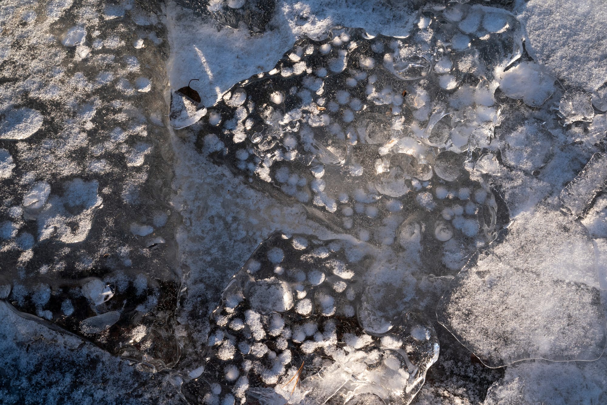 Sheets of ice and ice flowers form on Lake Superior in Duluth, Minn.