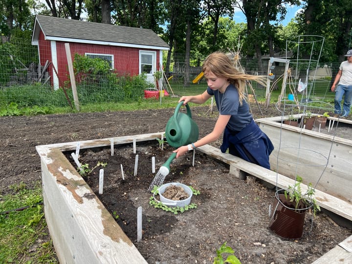 Girl uses watering can to water plants in a raised garden bed. 